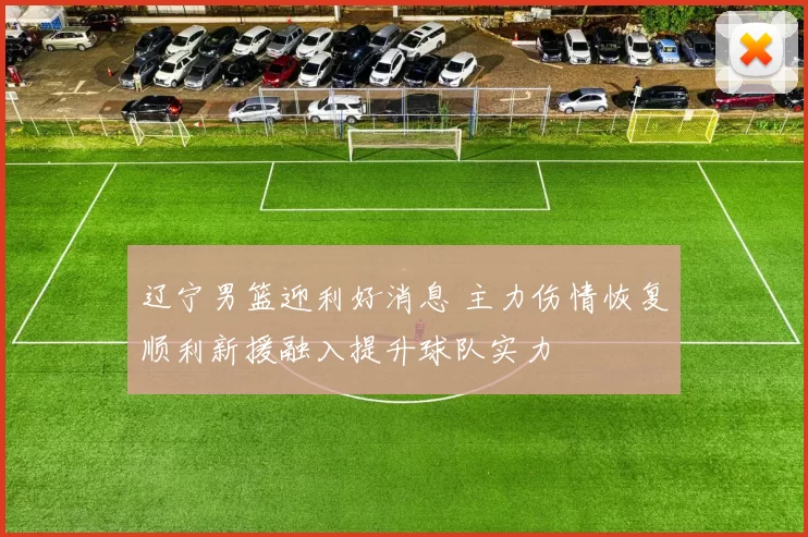 辽宁男篮迎利好消息 主力伤情恢复顺利新援融入提升球队实力