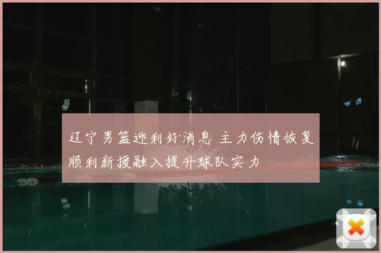 辽宁男篮迎利好消息 主力伤情恢复顺利新援融入提升球队实力