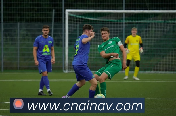 App Interface Preview